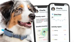 AI Fitness Tracker for Pets Captures Heart Health